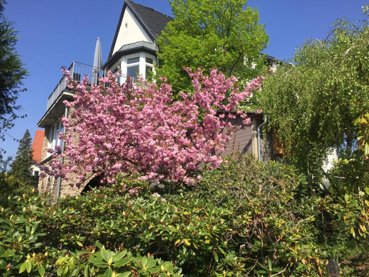 Meißen Ferienwohnung Burkhardt מראה חיצוני תמונה